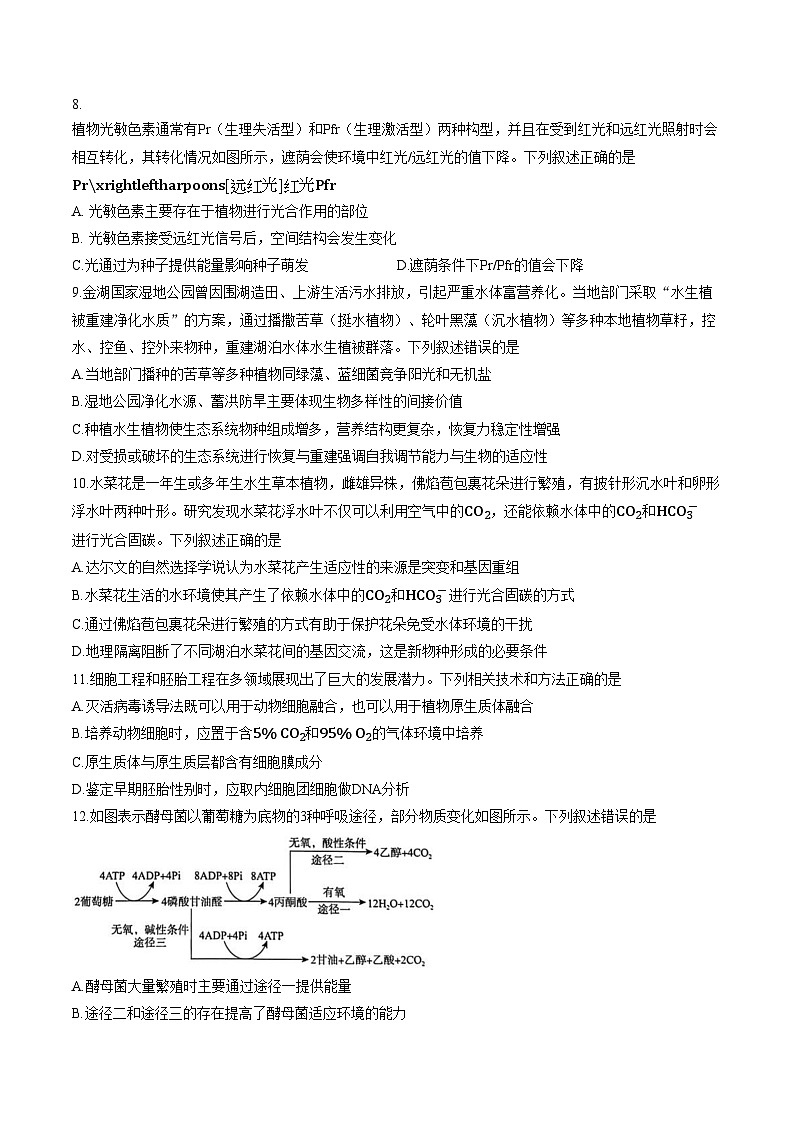 河南普通高中2025_2026学年上学期高三年级期末考试 生物试题（文字版，含答案）第3页