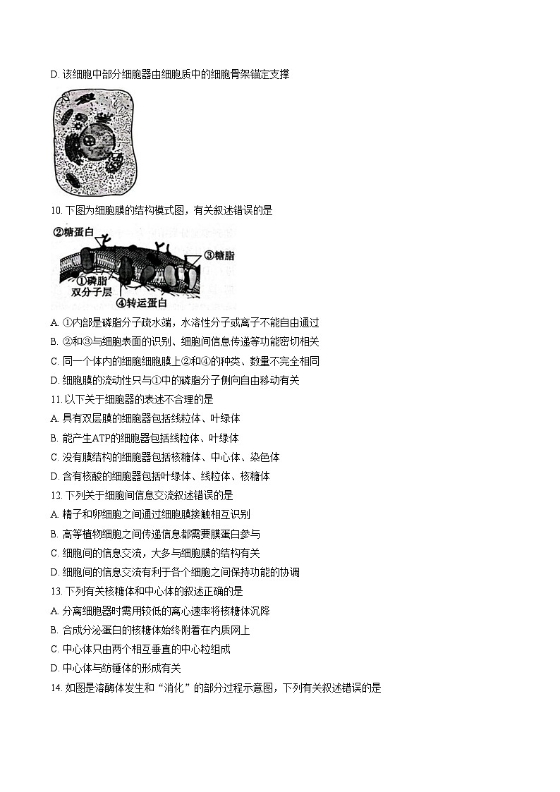 山东济南市2025年秋季学期高一上学期期末考试生物试题（文字版，含答案）第3页
