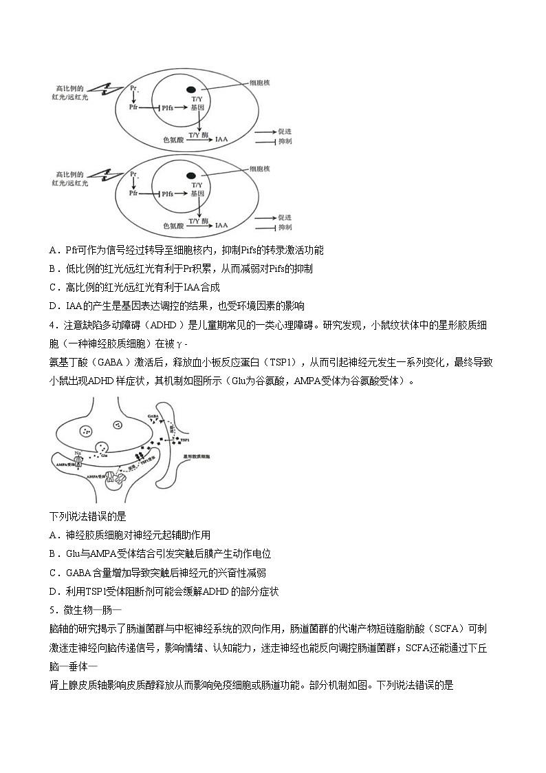 云南省昆明市盘龙区2025_2026学年高二上学期期末考试生物试卷（文字版，含答案）第2页