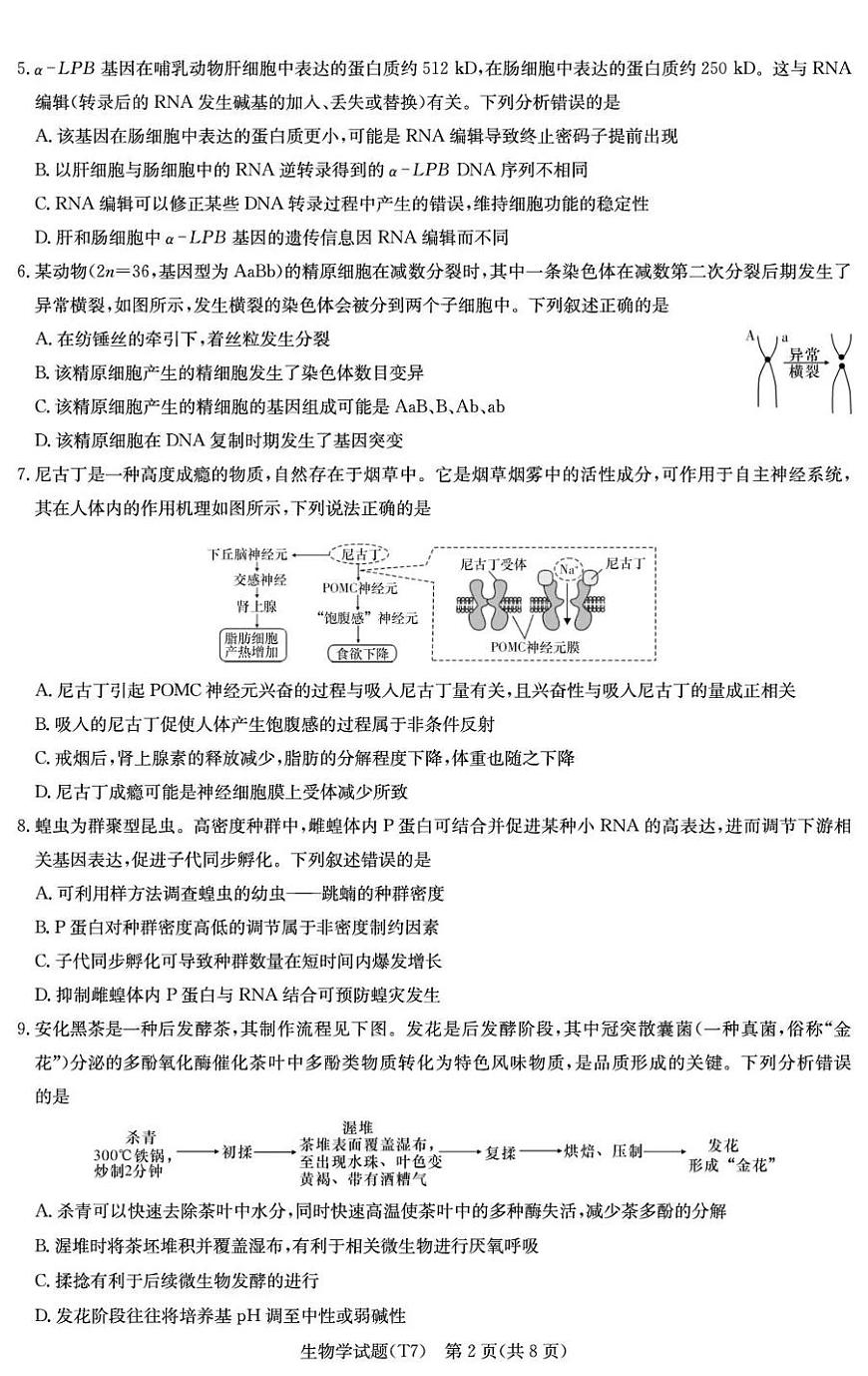 湖南师大附中2026届高三月考试卷（七）生物第2页