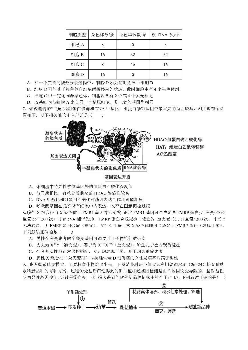 成都市第七中学2025—2026学年度下期高2026届开学考试 生物第2页