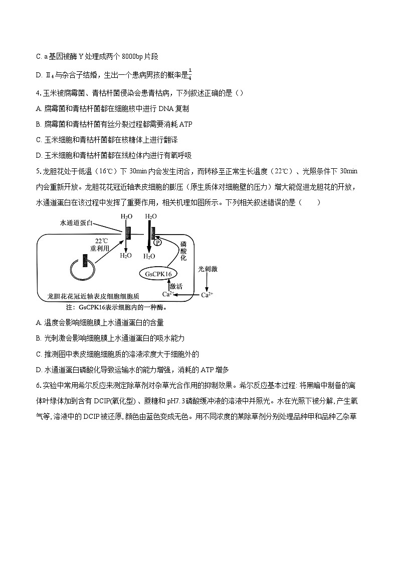 湖北省2026届高三高考生物学模拟试题第2页
