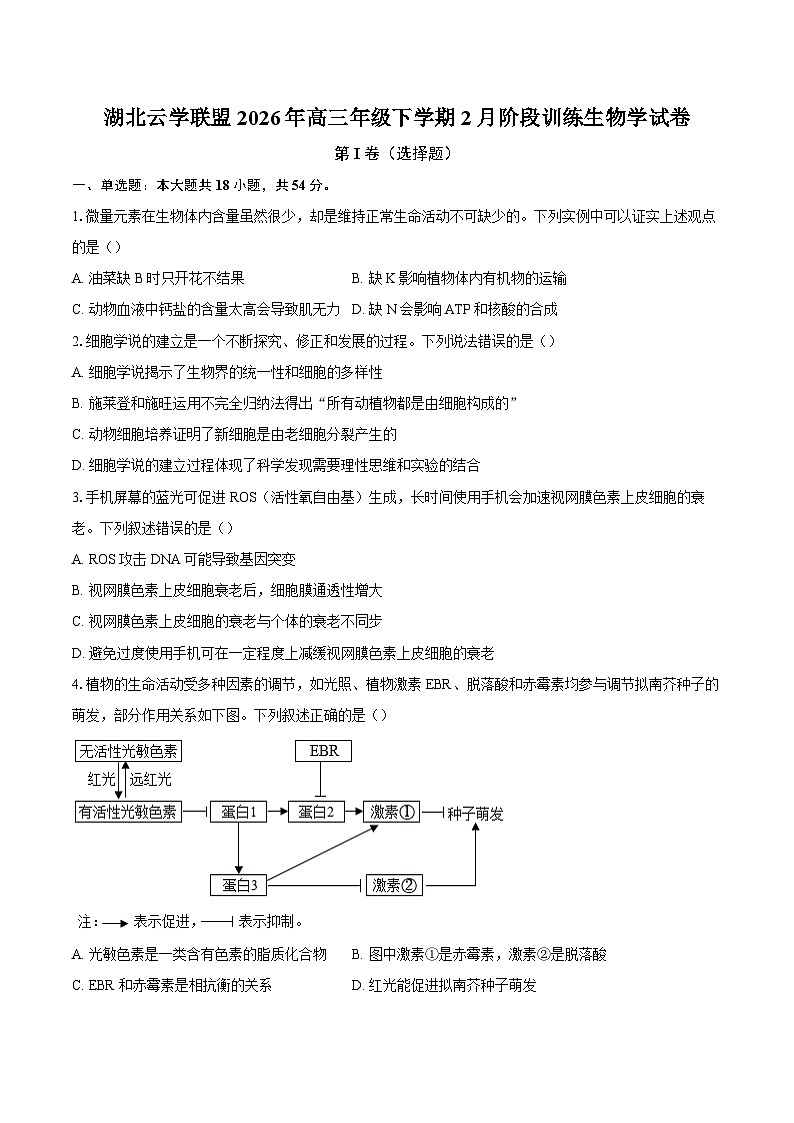 湖北云学联盟2026年高三年级下学期2月阶段训练生物学试卷第1页