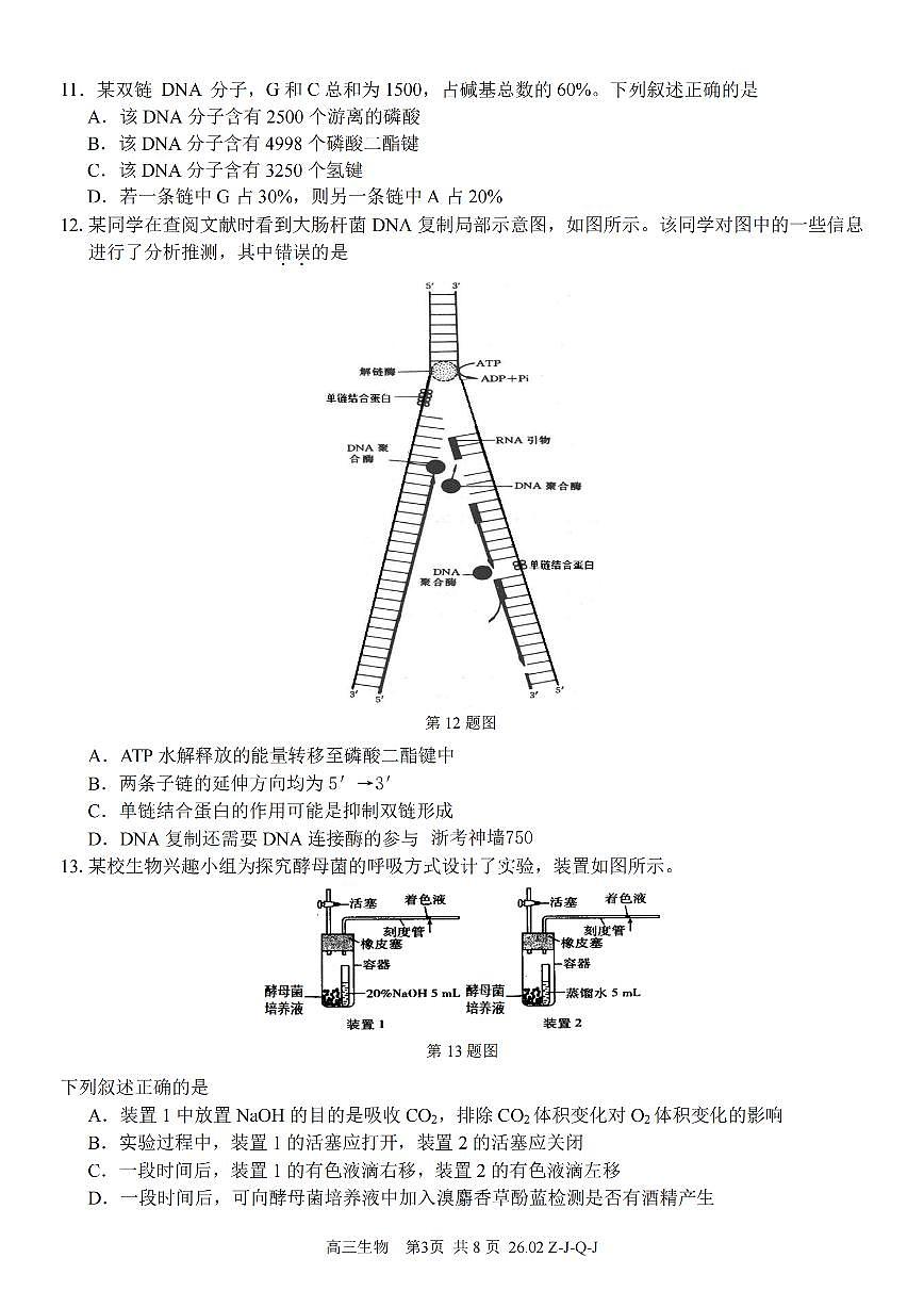 生物卷-2602浙南七彩精诚金兰第3页