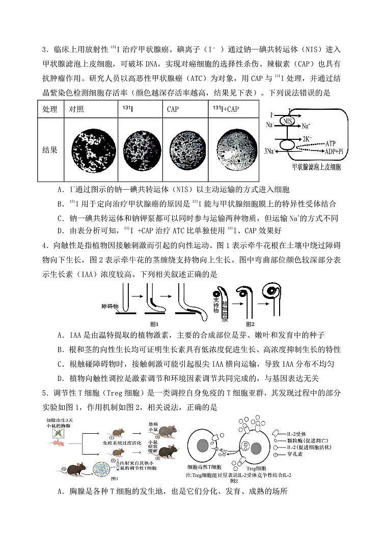 重庆市第八中学校2025-2026学年度（下）高三年级入学考试 生物第2页