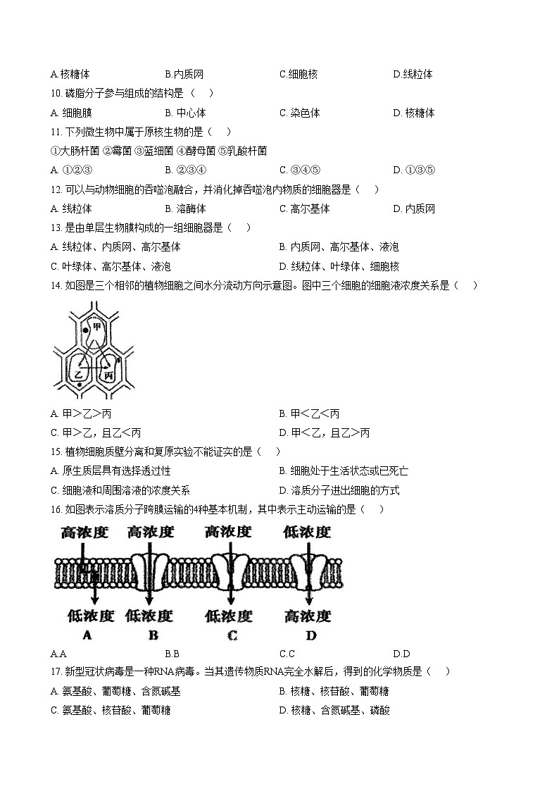 北京市北师大燕化附中2024_2025学年高一上学期期中生物试题（文字版，含答案）第2页