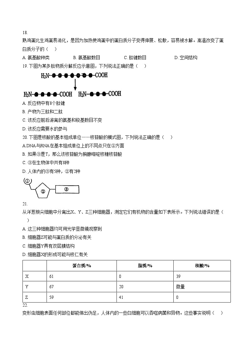 北京市北师大燕化附中2024_2025学年高一上学期期中生物试题（文字版，含答案）第3页