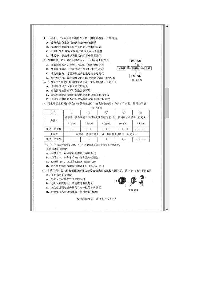 浙江省杭州市2024-2025学年高一上学期1月期末考试 生物 含答案第3页