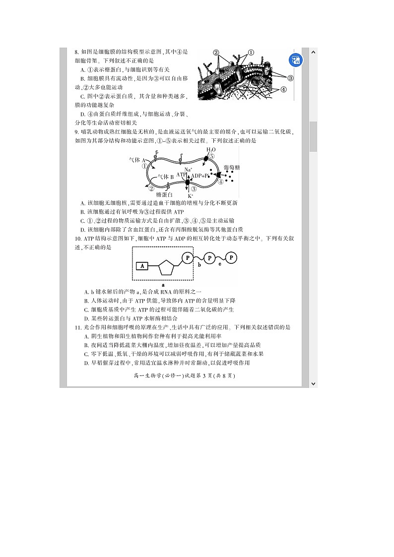 湖南省郴州市2023-2024学年高一上学期期末教学质量监测试题 生物 含答案第3页