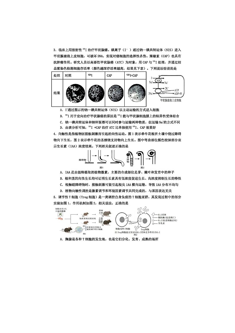 重庆市第八中学校2025-2026学年高三下学期入学考生物卷含答案第2页
