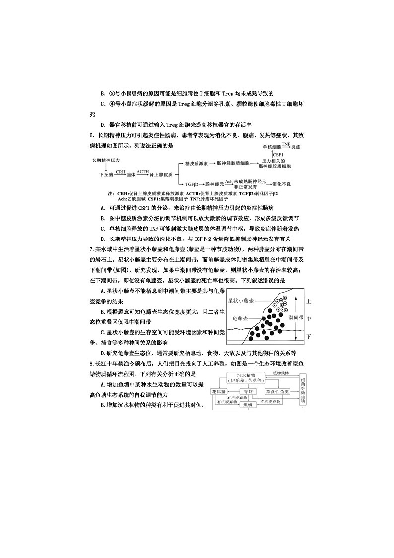 重庆市第八中学校2025-2026学年高三下学期入学考生物卷含答案第3页