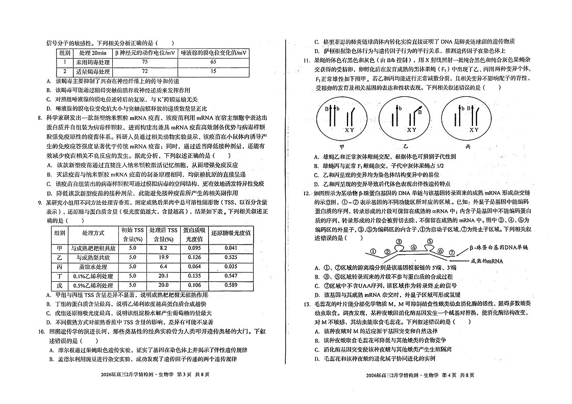 安徽省A10联盟2026届高三下学期2月学情检测（开学考）生物试题（含答案）第2页
