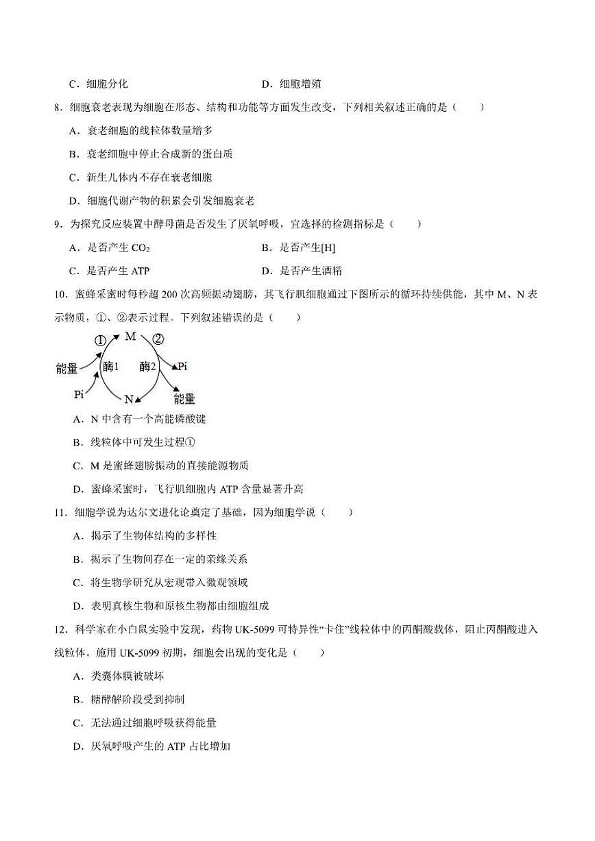 2025-2026学年浙江省湖州市高一上学期期末调研测试生物(含答案）试卷第2页