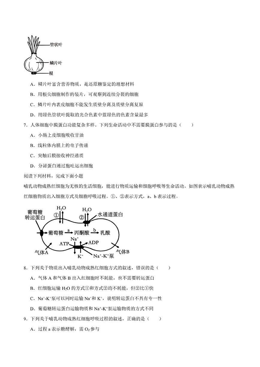 2025-2026学年浙江省衢州市高二上学期期末考试生物（含答案）试卷第2页