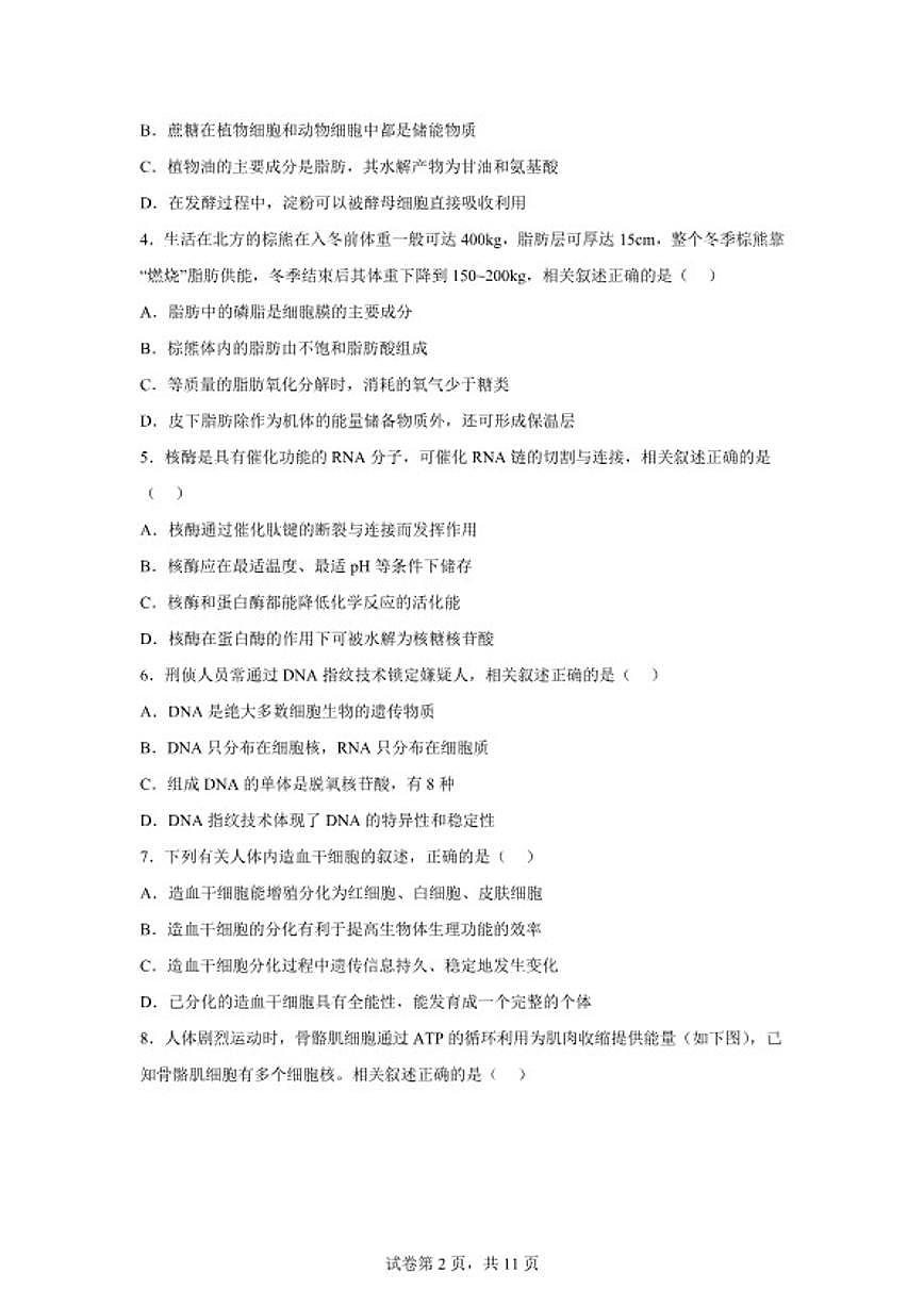 2025-2026学年江苏南通市海安市高一上学期期末考试生物学试题（含解析）第2页