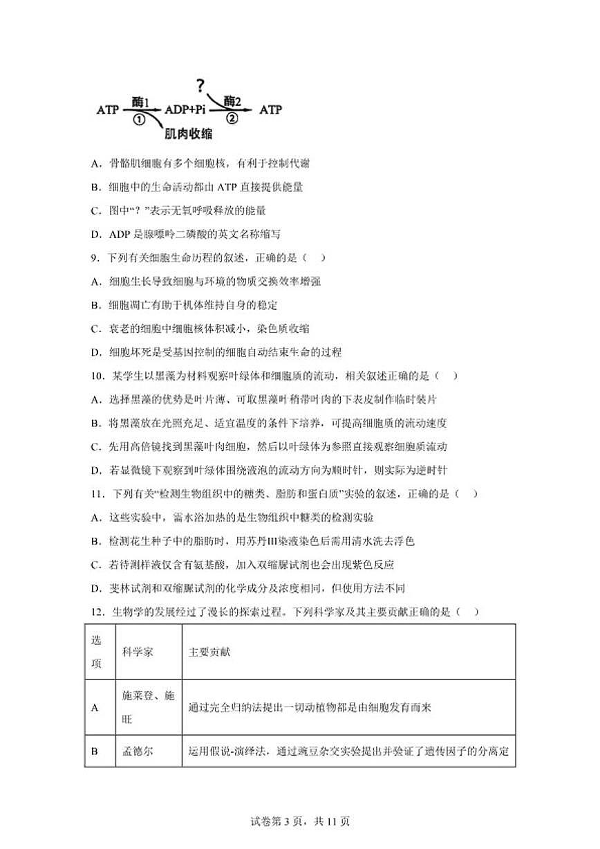 2025-2026学年江苏南通市海安市高一上学期期末考试生物学试题（含解析）第3页