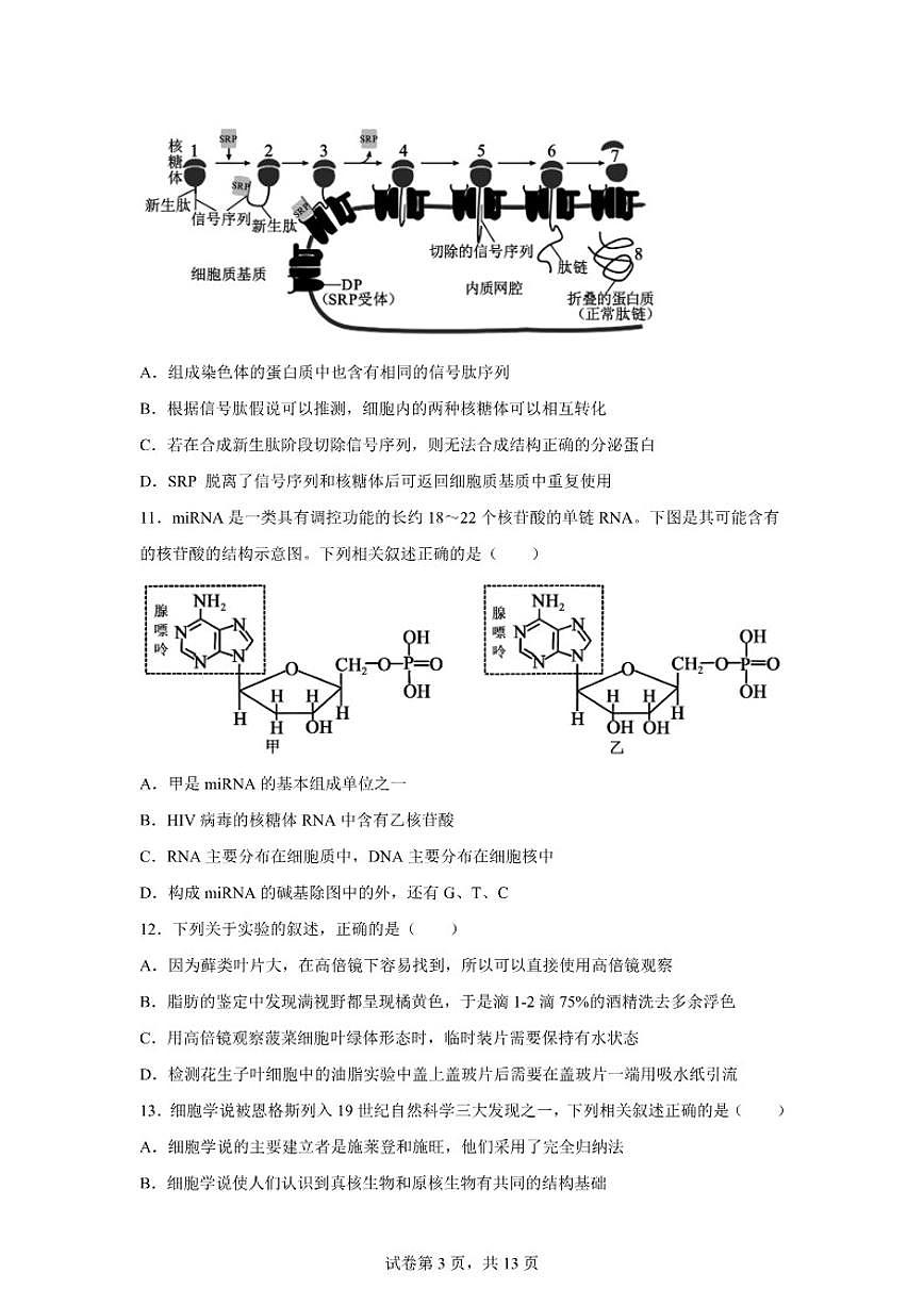 2025-2026学年江苏省南京市高一上学期期末生物学试题（含解析）第3页