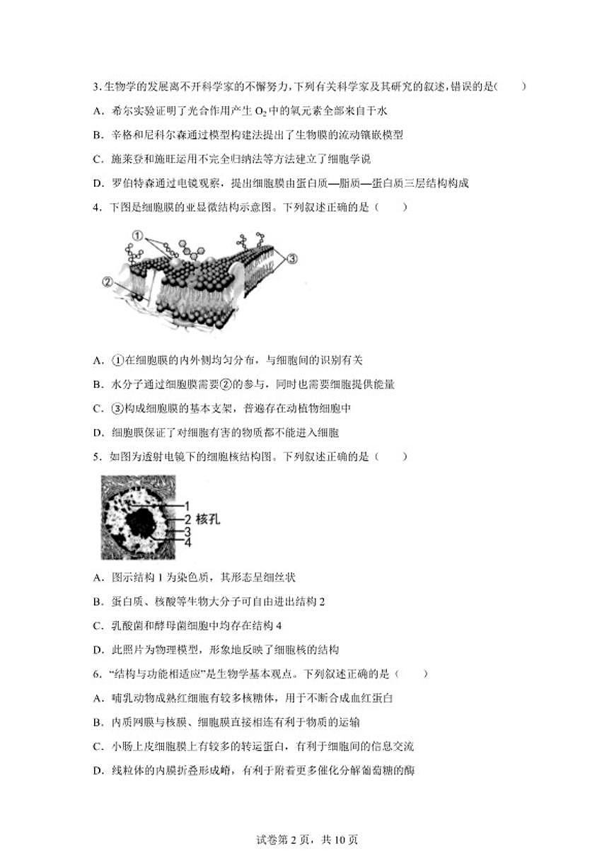 2025-2026学年江苏宿迁市高一年级上学期期末质量监测生物学（含答案）试卷第2页