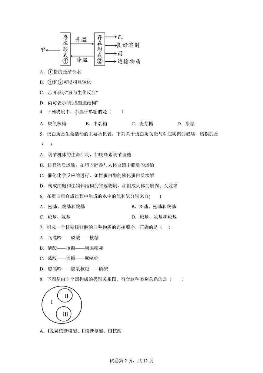 2025-2026学年江苏扬州市度第一学期高一生物学期末（含解析）试卷第2页