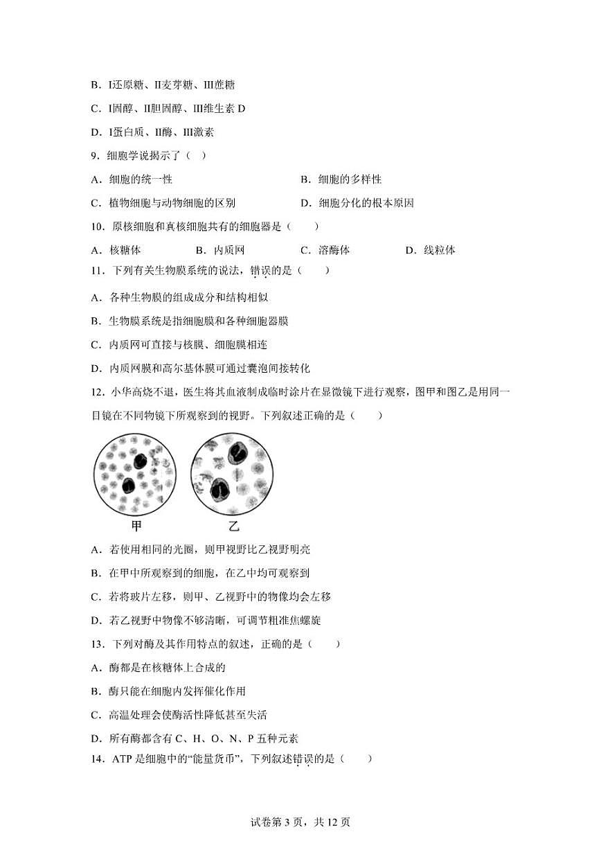 2025-2026学年江苏扬州市度第一学期高一生物学期末（含解析）试卷第3页