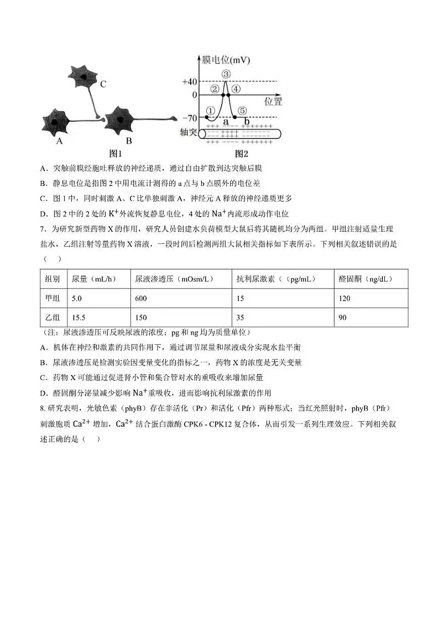 2025-2026学年江苏苏州市上学期期末高二生物（含答案）试卷第2页