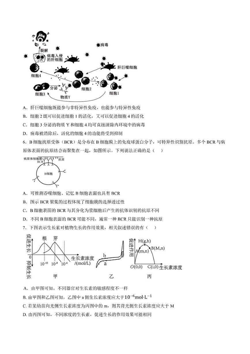 2025-2026学年江苏省南京市高二上学期期末生物学试题（含答案）第2页