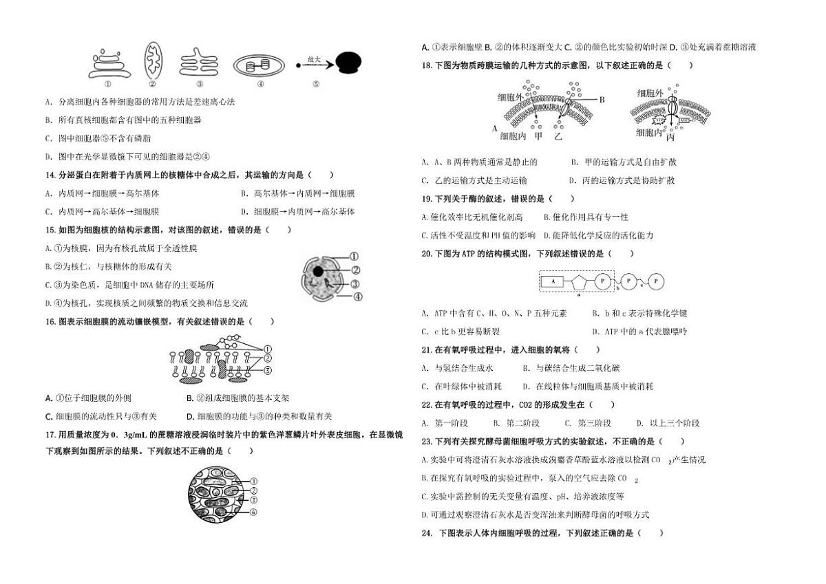 2025-2026学年黑龙江省佳木斯市东风区佳木斯市第八中学高一上学期1月期末生物试题（含答案）第2页