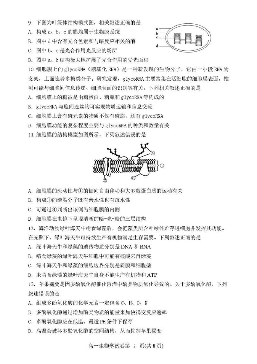 2025-2026学年辽宁省地区高一上学期期末生物_(含答案_)试卷第3页