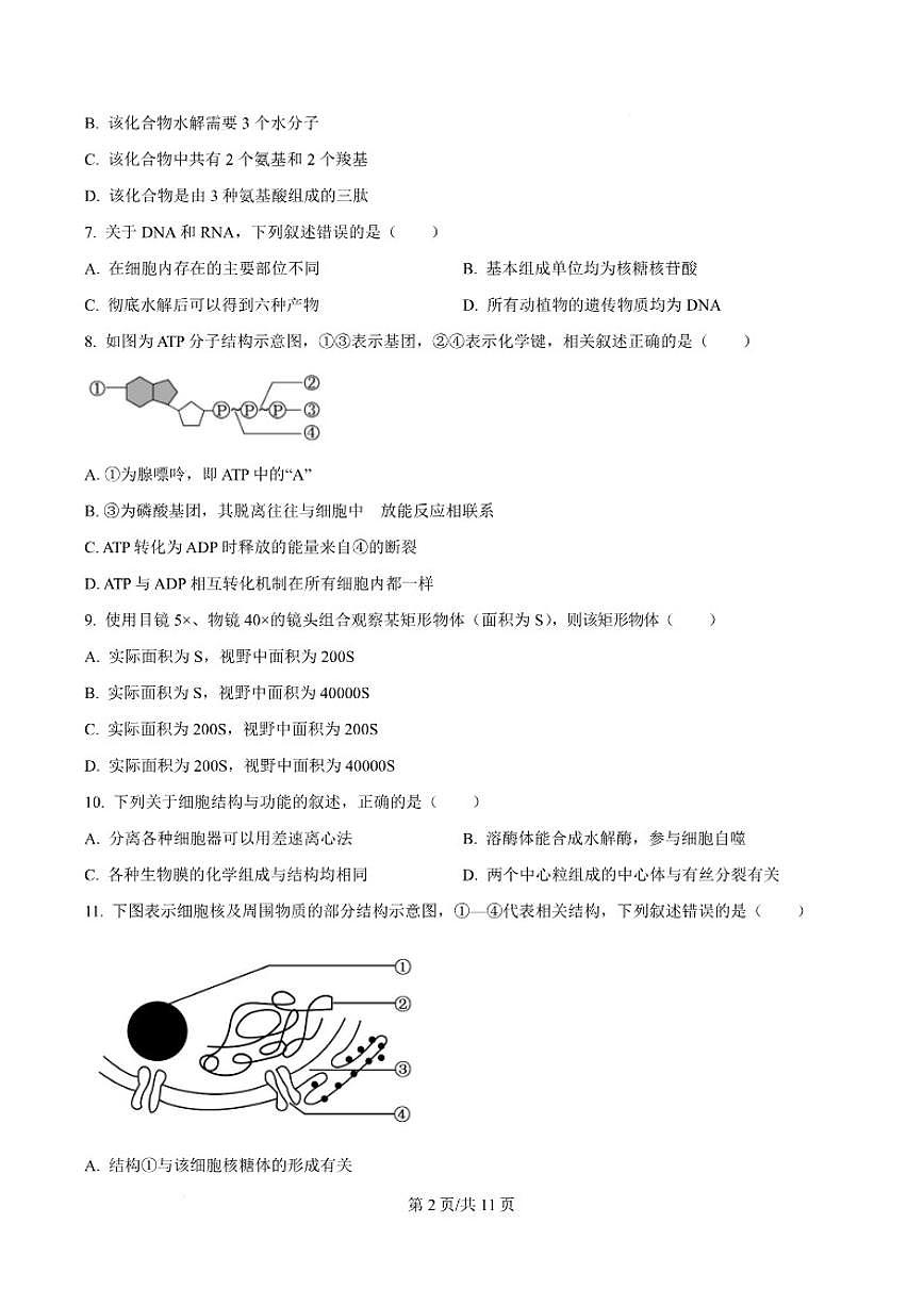 2025-2026学年辽宁省葫芦岛市高一上学期1月期末考试生物试卷（含答案）第3页