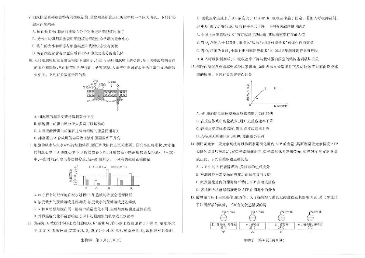 2025-2026学年海南省部分学校高一上学期1月期末生物试题（含答案）第2页