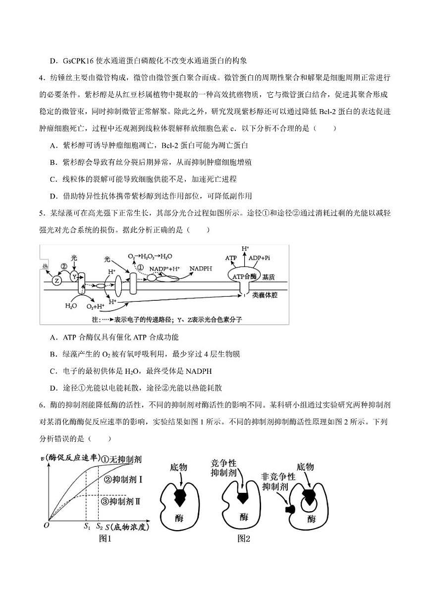 2026届重庆市高三上学期12月高考模拟调研考试（二）生物试卷（含答案）第2页