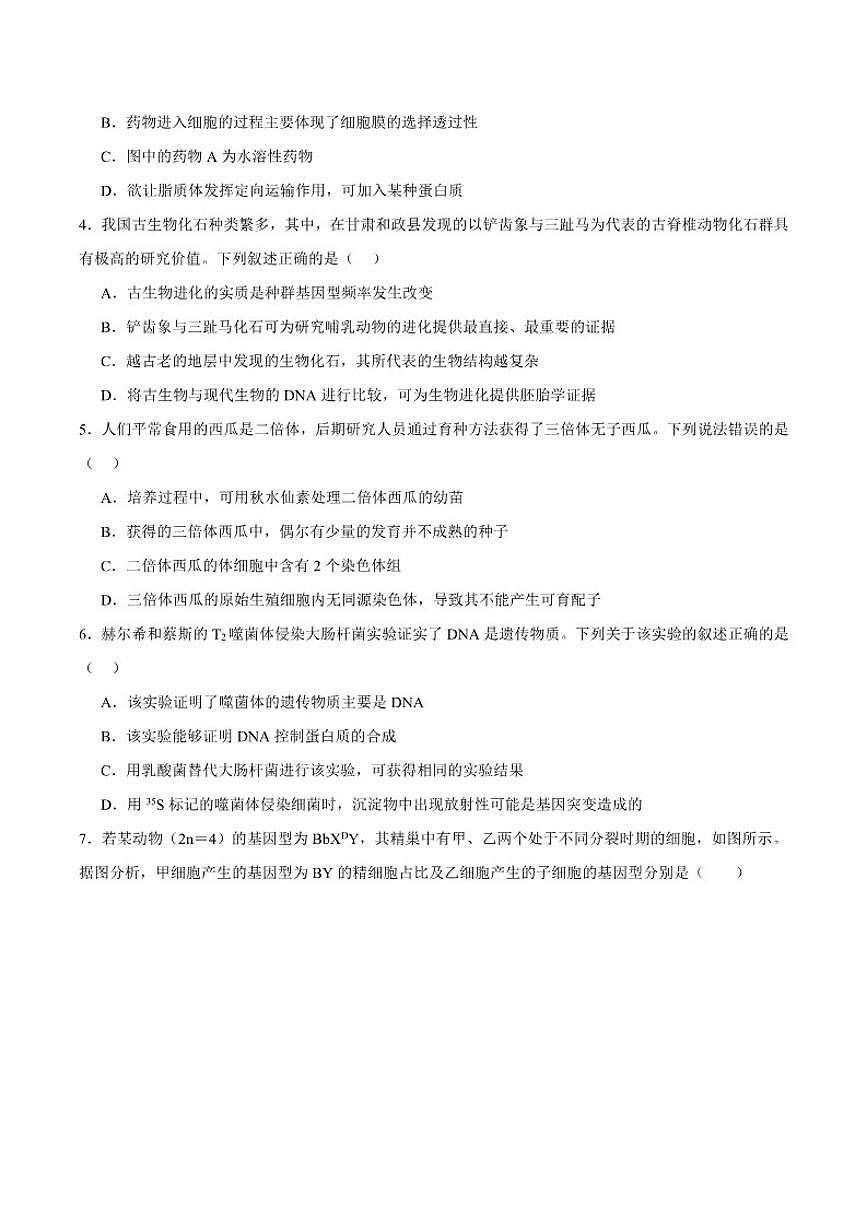 2026届河北省邢台市高三上学期第三次月考生物试卷（含答案）第2页
