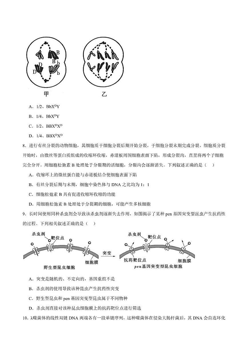 2026届河北省邢台市高三上学期第三次月考生物试卷（含答案）第3页