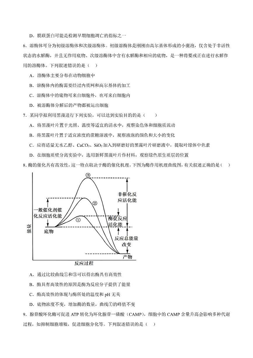 2026届甘肃省平凉市静宁县第一中学高三上学期第一次模拟生物试卷（含答案）第2页