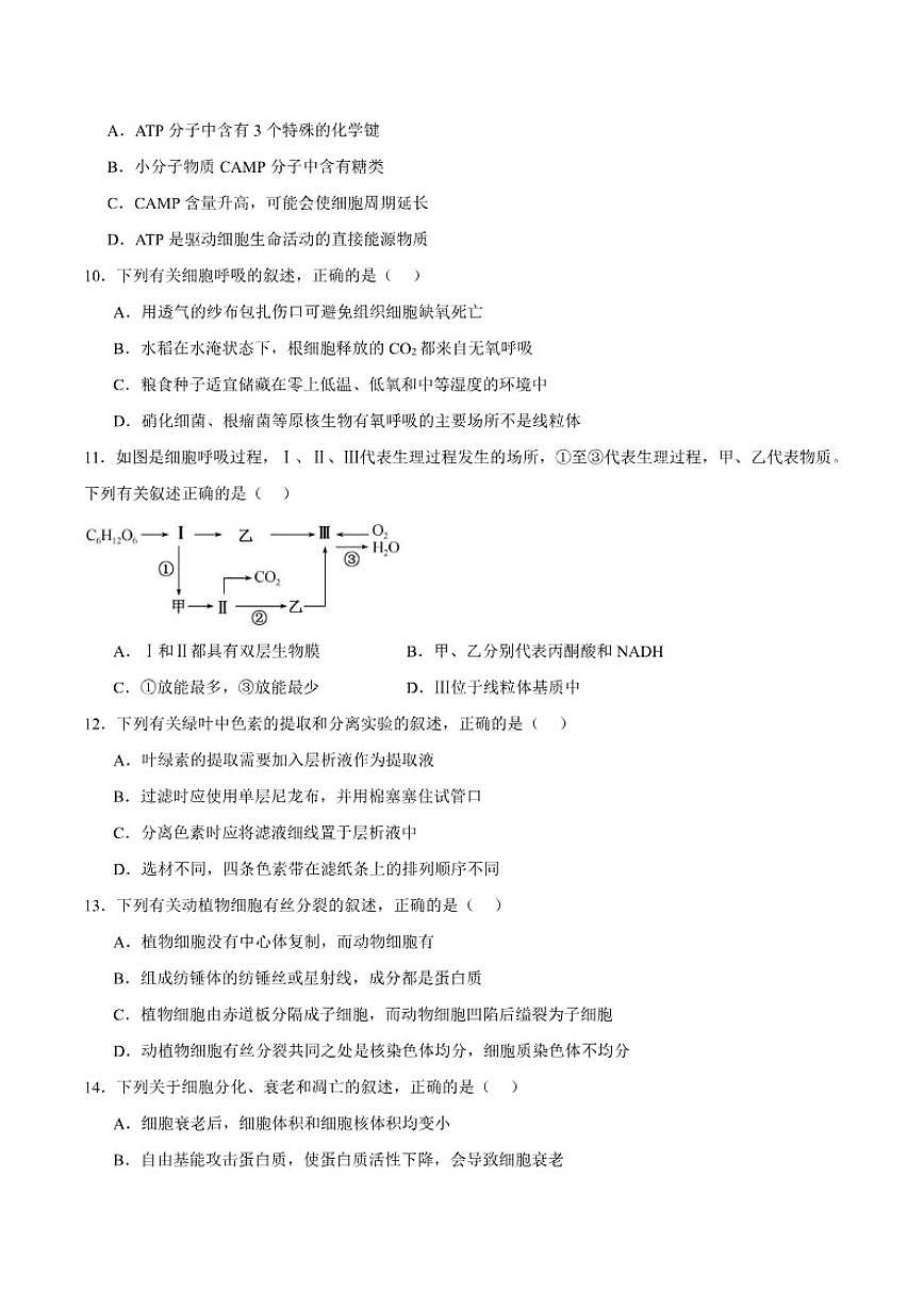 2026届甘肃省平凉市静宁县第一中学高三上学期第一次模拟生物试卷（含答案）第3页