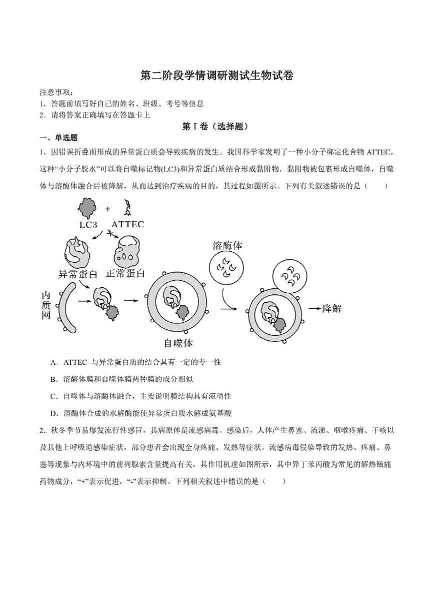 2026届四川省字节精准教育联盟高三上学期第二阶段学情调研测试生物试卷（含答案）第1页