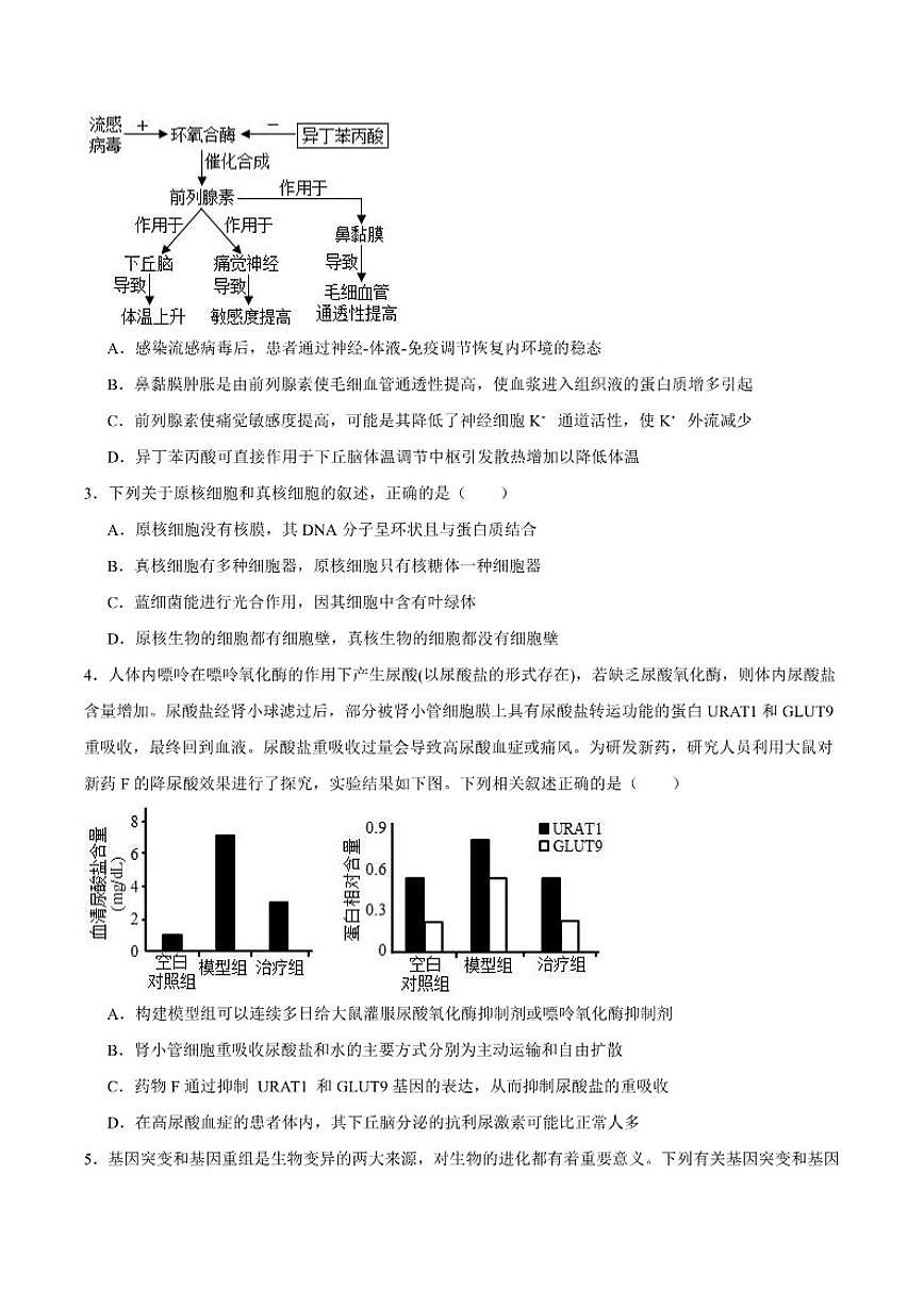 2026届四川省字节精准教育联盟高三上学期第二阶段学情调研测试生物试卷（含答案）第2页
