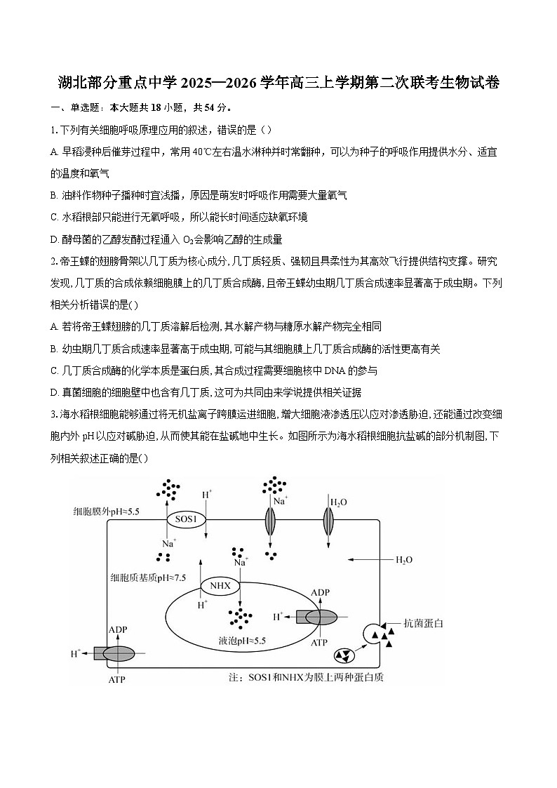 湖北部分重点中学2025—2026学年高三上学期第二次联考生物试卷第1页