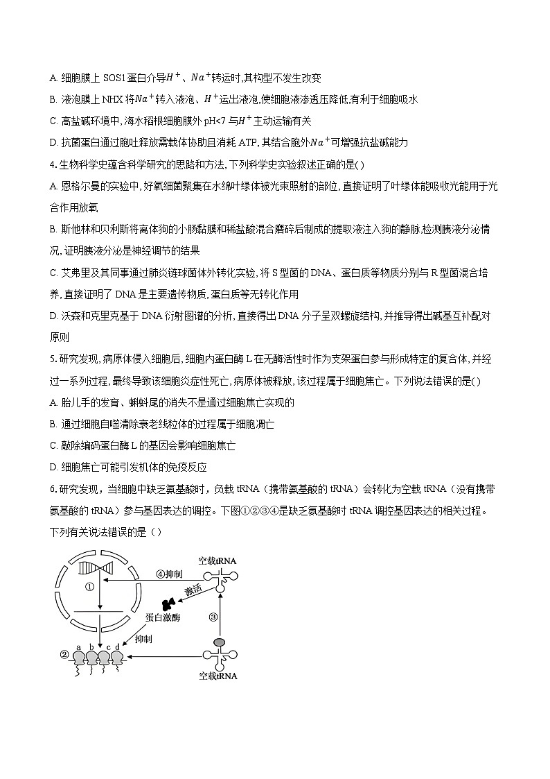 湖北部分重点中学2025—2026学年高三上学期第二次联考生物试卷第2页