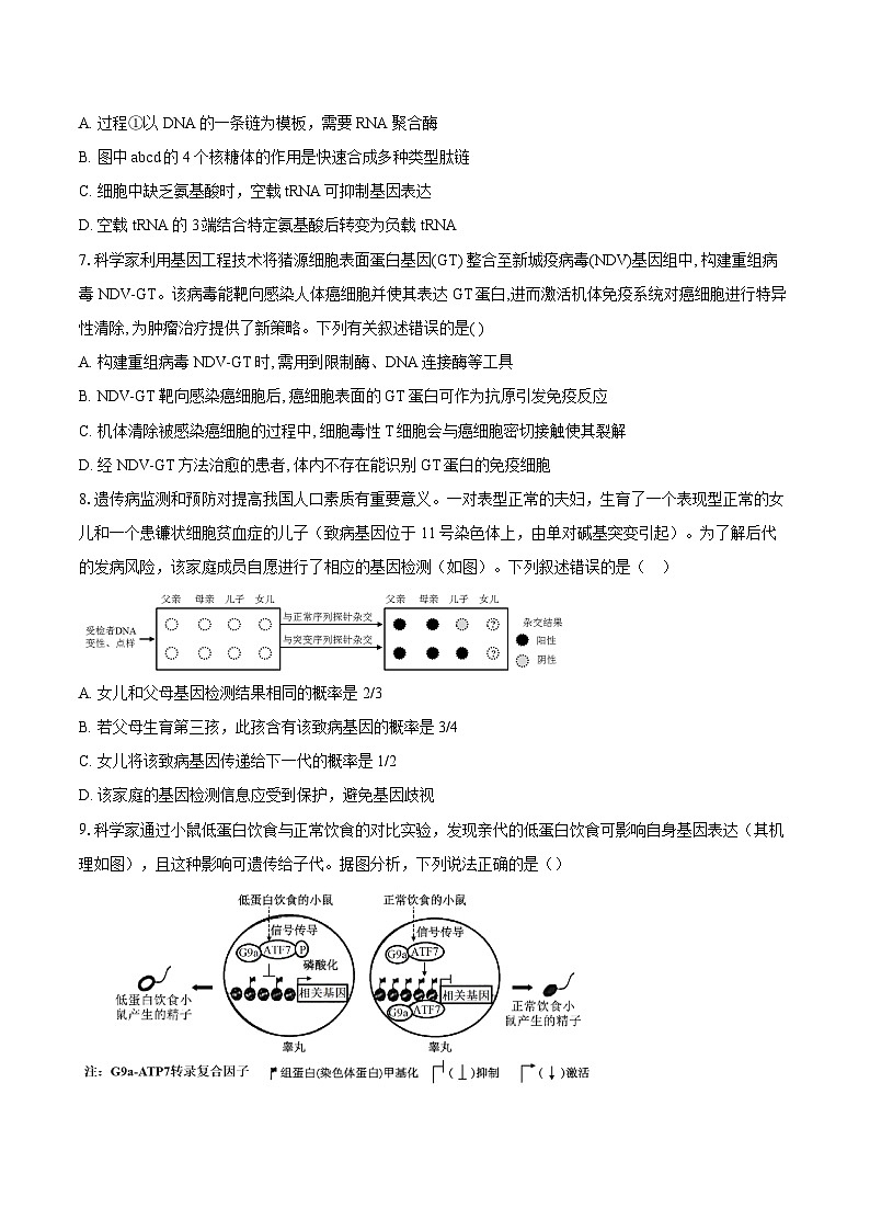 湖北部分重点中学2025—2026学年高三上学期第二次联考生物试卷第3页