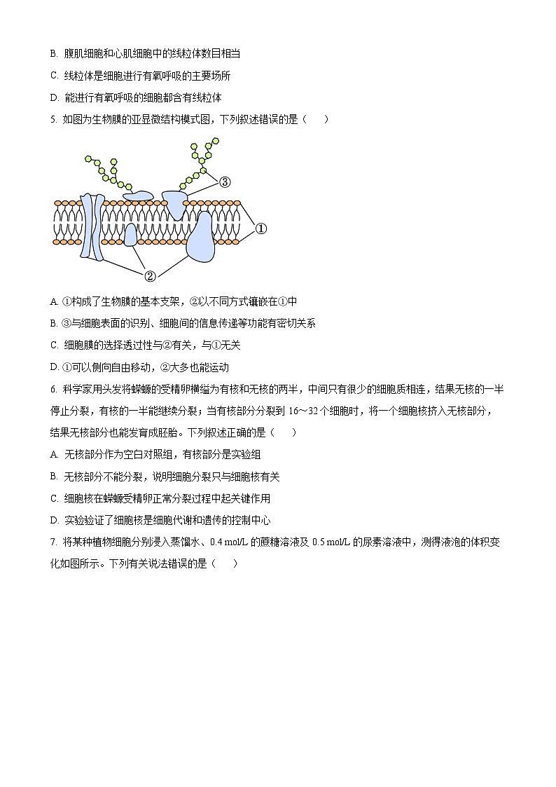 湖南省益阳市2025年秋季学期普通高中期末质量检测高一生物学试题  Word版无答案第2页