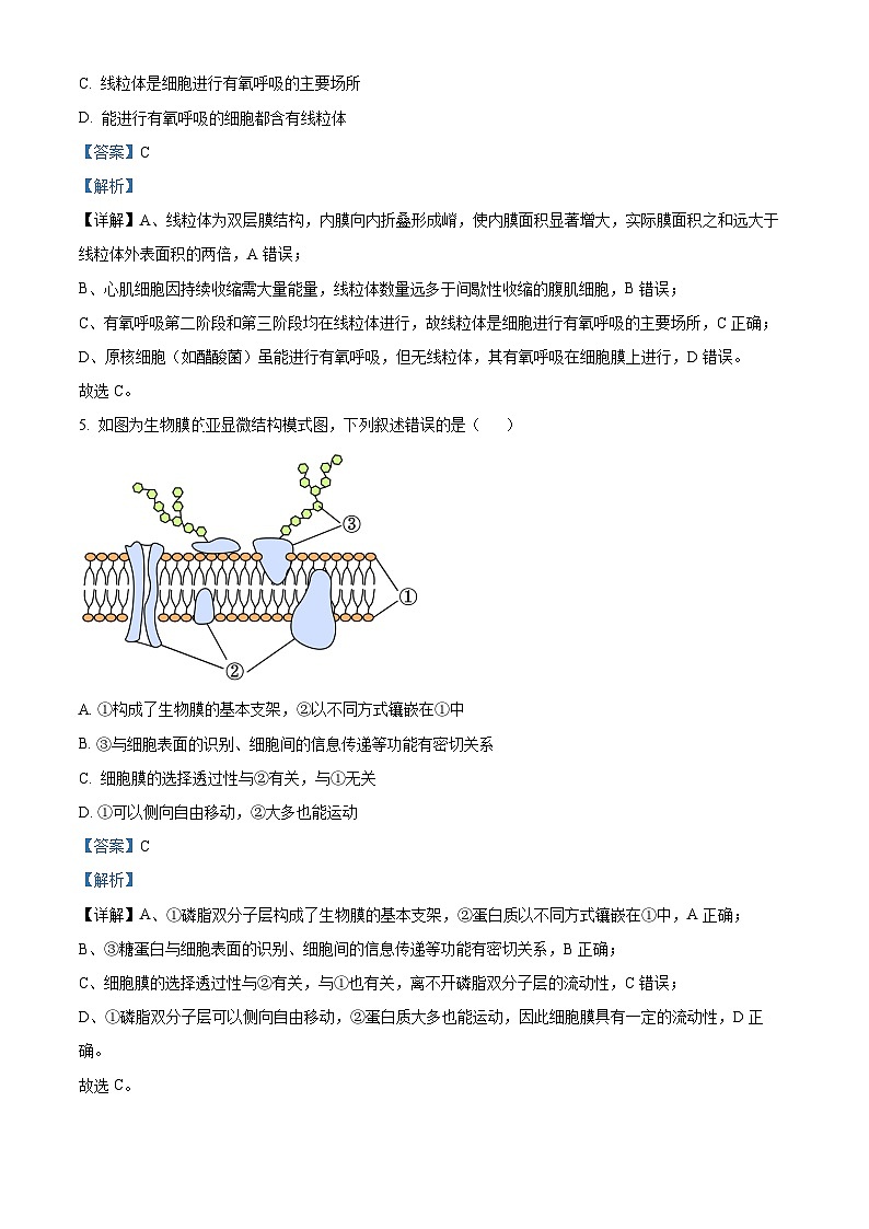 湖南省益阳市2025年秋季学期普通高中期末质量检测高一生物学试题  Word版含解析第3页