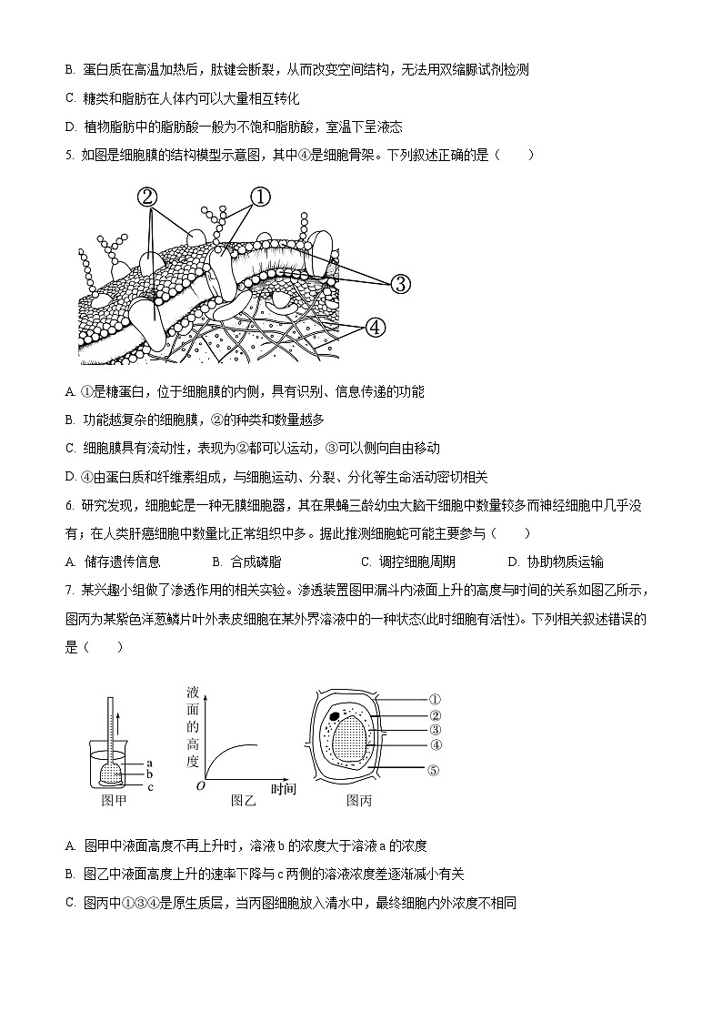 湖南省郴州市2025-2026学年高一上学期期末生物学试题 Word版无答案第2页