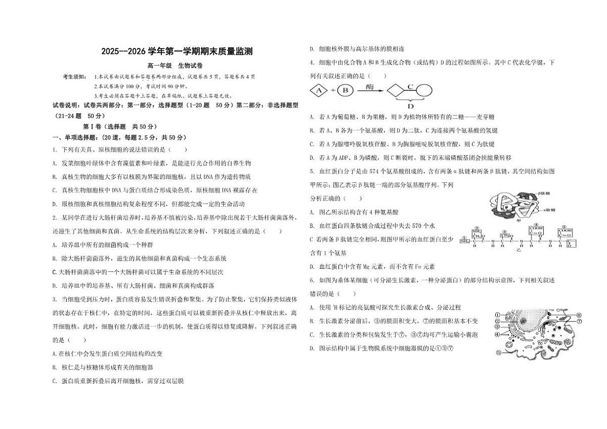 2025-2026学年新疆喀什地区疏勒县高一上学期期末生物试卷（含答案）第1页