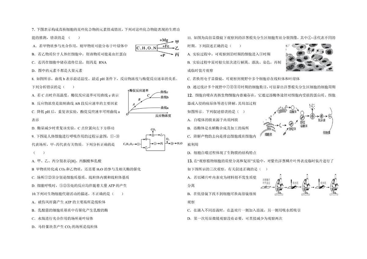 2025-2026学年新疆喀什地区疏勒县高一上学期期末生物试卷（含答案）第2页