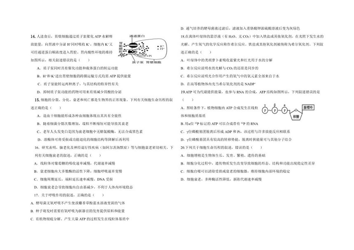 2025-2026学年新疆喀什地区疏勒县高一上学期期末生物试卷（含答案）第3页