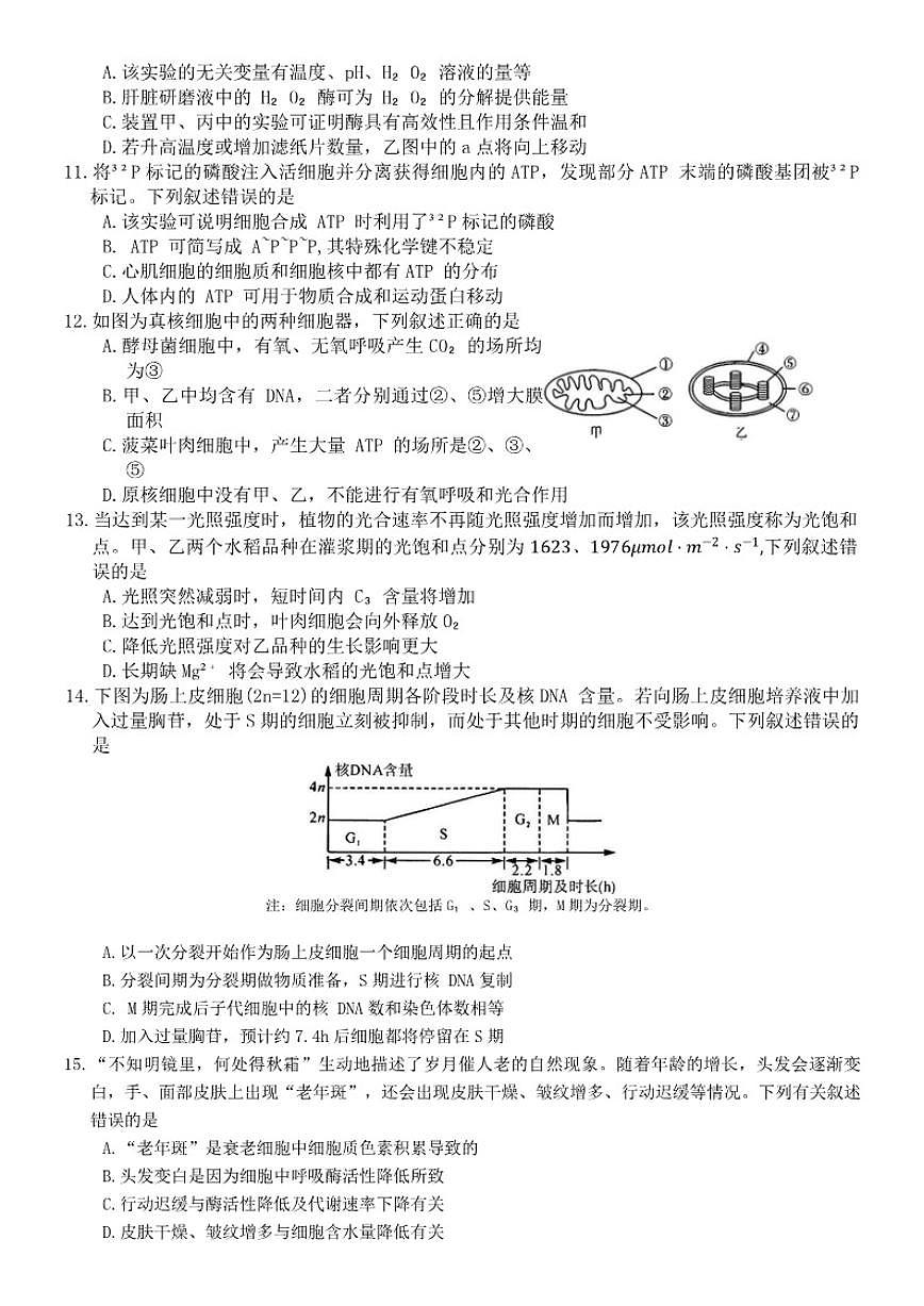2025-2026年河南省漯河市高一上期末生物学试卷（含解析）第3页