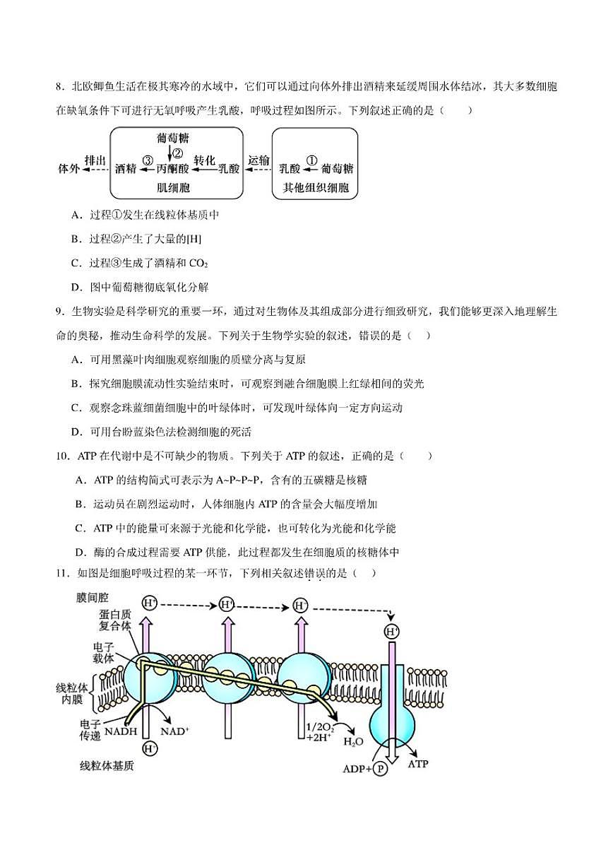 2025-2026学年黑龙江省佳木斯市桦南县第一中学高一上学期期末考试生物试卷（含答案）第3页