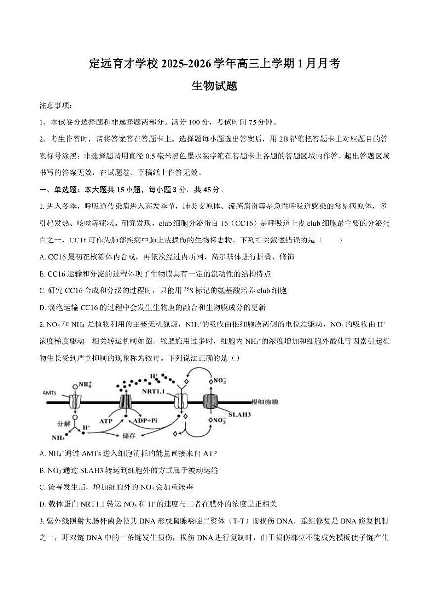 2025-2026学年安徽省滁州市定远县育才学校高三上学期1月月考生物试题（含答案）第1页