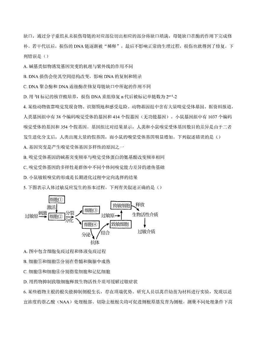 2025-2026学年安徽省滁州市定远县育才学校高三上学期1月月考生物试题（含答案）第2页